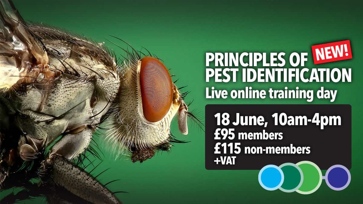 Principles of Pest Identification trianing course by BPCA Principles of Pest Identification trianing course by BPCA